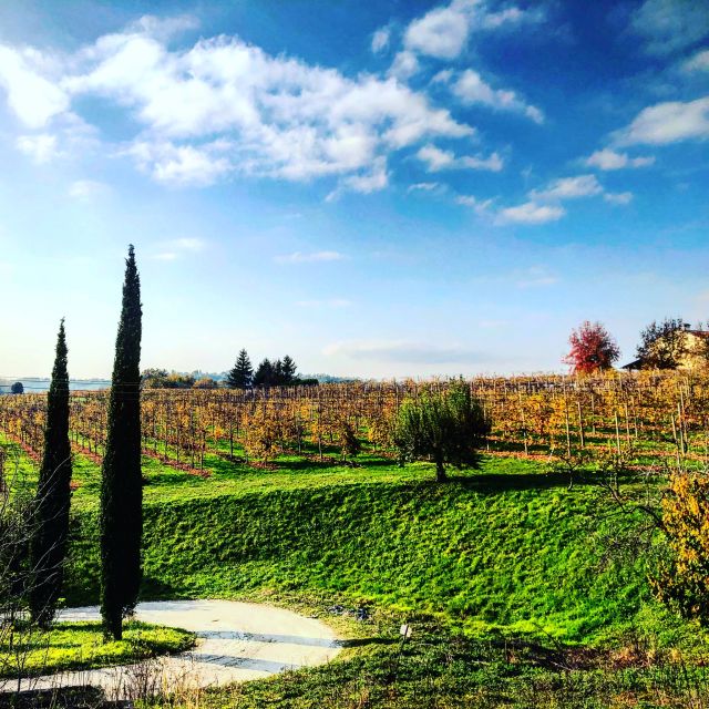 Venice: Prosecco Hills Wineries Tour with Tastings and Lunch - Four courses at the family Osteria