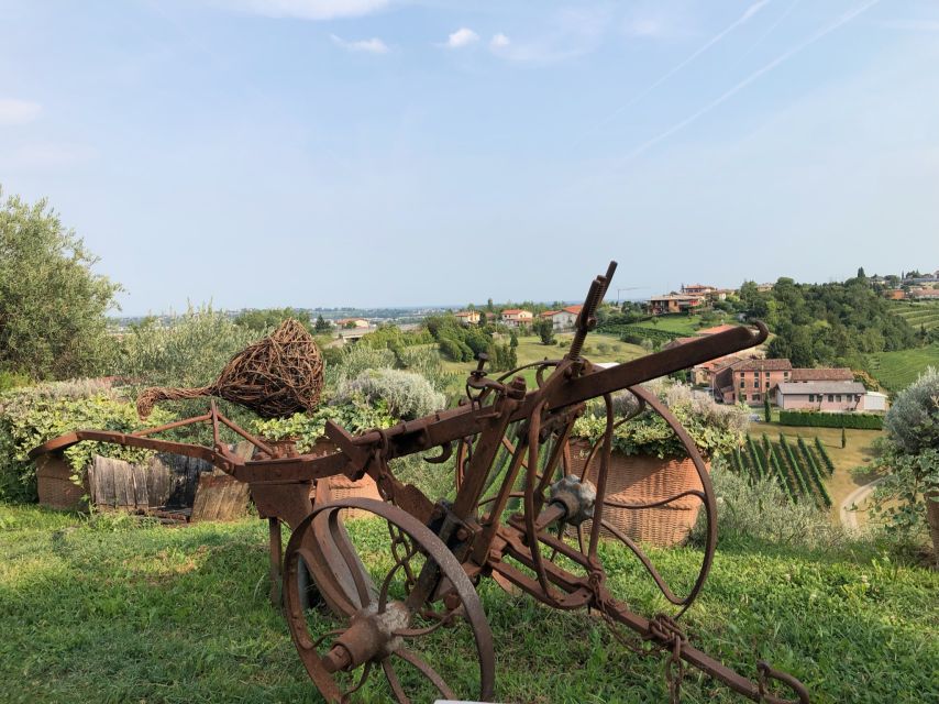 Venice: Prosecco Hills Wineries Tour with Tastings and Lunch - The second winery and a different wine style