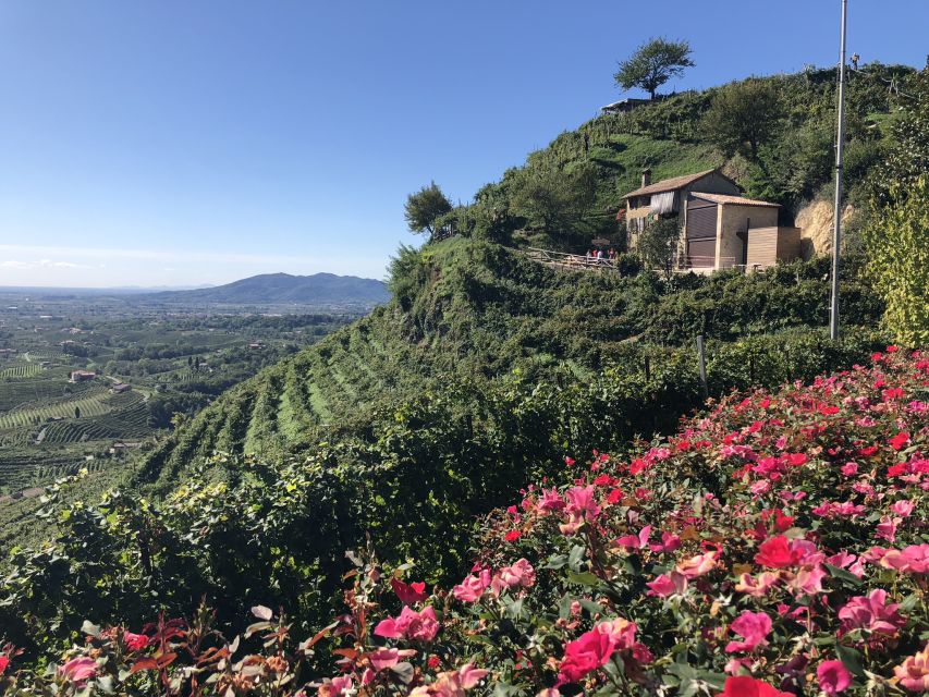 Venice: Prosecco Hills Wineries Tour with Tastings and Lunch - What the small group changes
