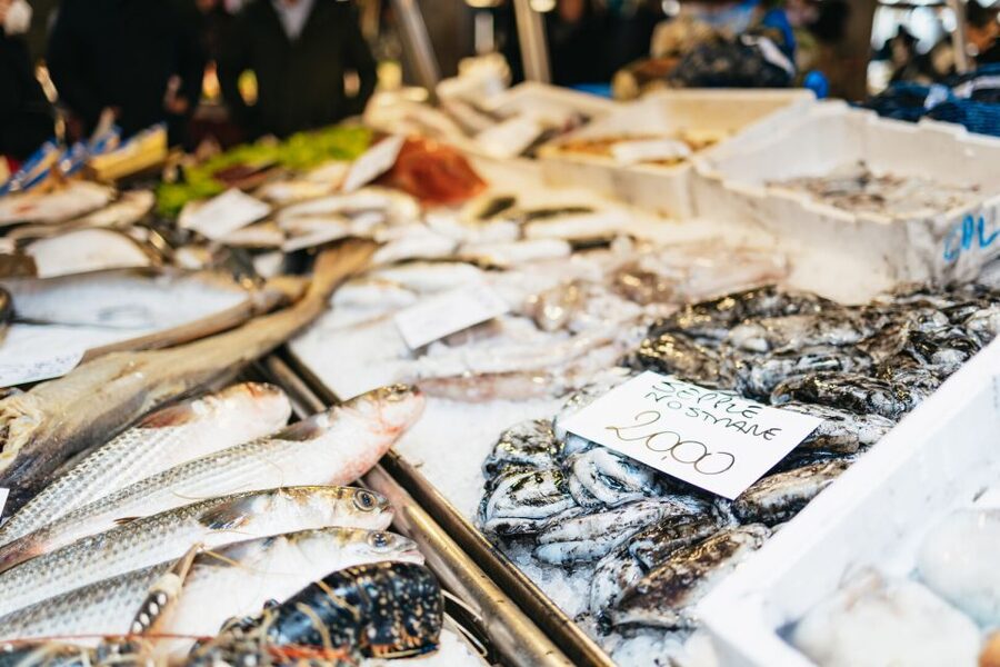 Venice: Rialto Market Tour, Cooking Class, and Lunch - What the $146.14 Price Includes