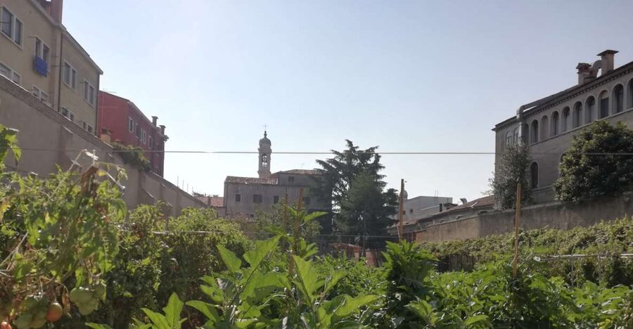 Venice: Secret City Gardens Walking Tour - Key points to know before you book