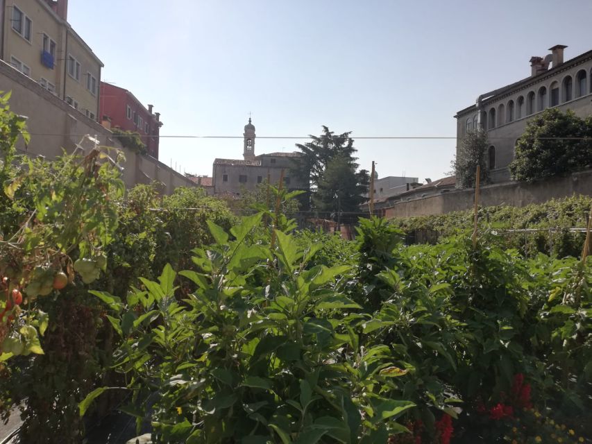 Venice: Secret City Gardens Walking Tour - The nunnery terrace and its lagoon view