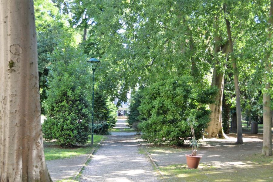 Venice: Secret City Gardens Walking Tour - Pace, guide style, and group size