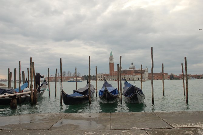 Venice Skip the Line Saint Mark's Basilica and Doge's Palace Private Tour - Who should book this Venice tour?