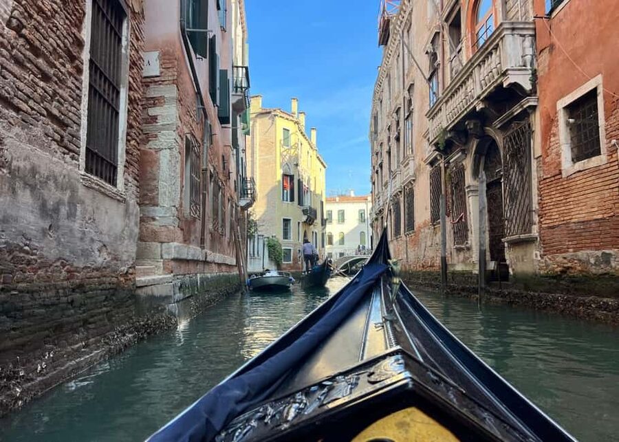 Venice: St. Mark’s Classic Walking Tour & Bell Tower Entry - Who will enjoy this Venice walking tour?