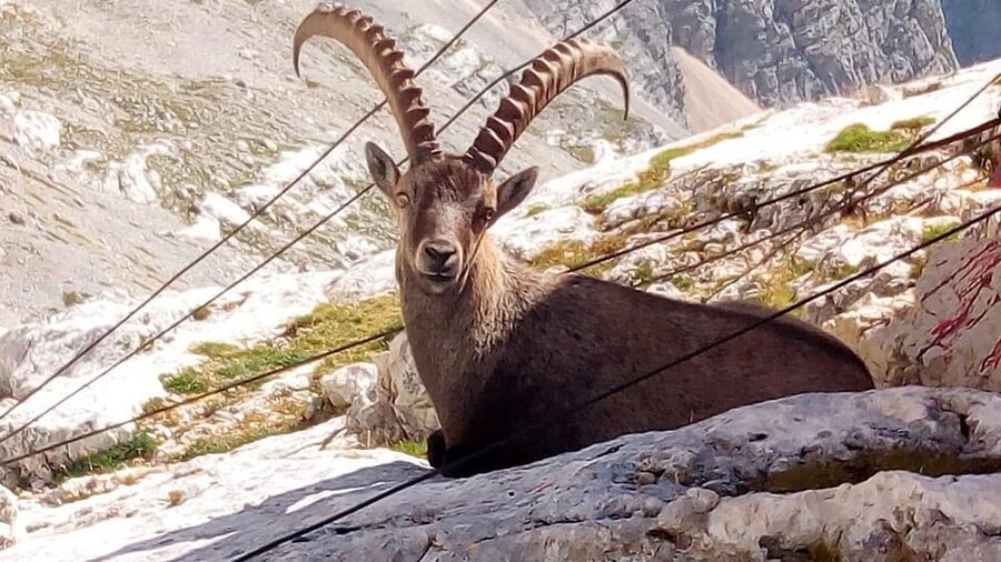 VENICE : Tour of Dolomites Unesco - What the $169.93 price buys you