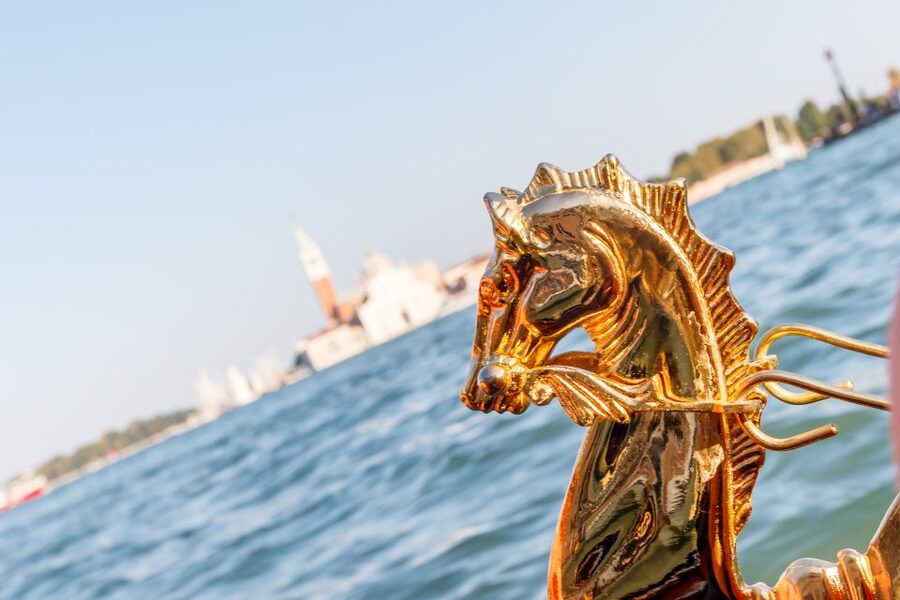 Venice: Traditional Shared Gondola Ride - What kind of experience should you expect from your gondolier?