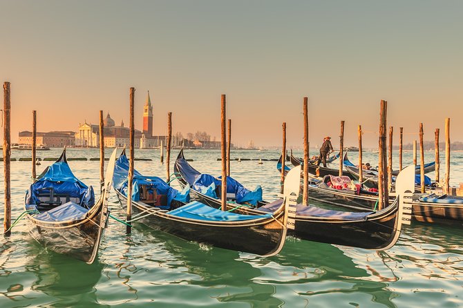 Venice Walking Tour and Gondola Ride - The Rialto Bridge from the gondola
