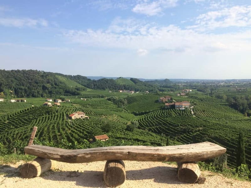 Venice: wine tour tasting along the Unesco Prosecco hills - Valdobbiadene: family property, cellar, and paired tastings