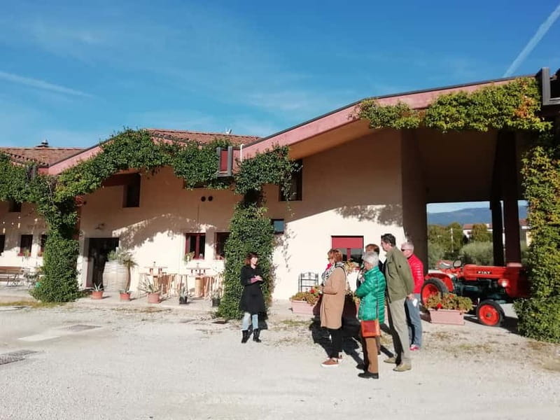 Venice: wine tour tasting along the Unesco Prosecco hills - Should you book this tour?