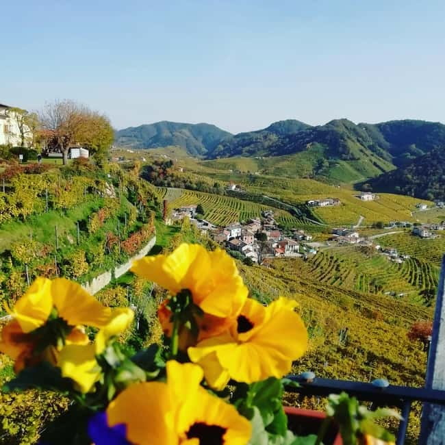 Venice: wine tour tasting along the Unesco Prosecco hills - Meeting near Piazzale Roma